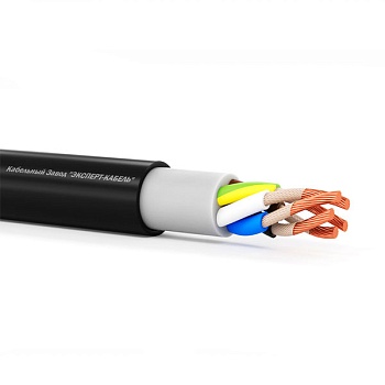 ППГ-Пнг(А)-FRHF 2х10 ок(N)-0,66 ГОСТ