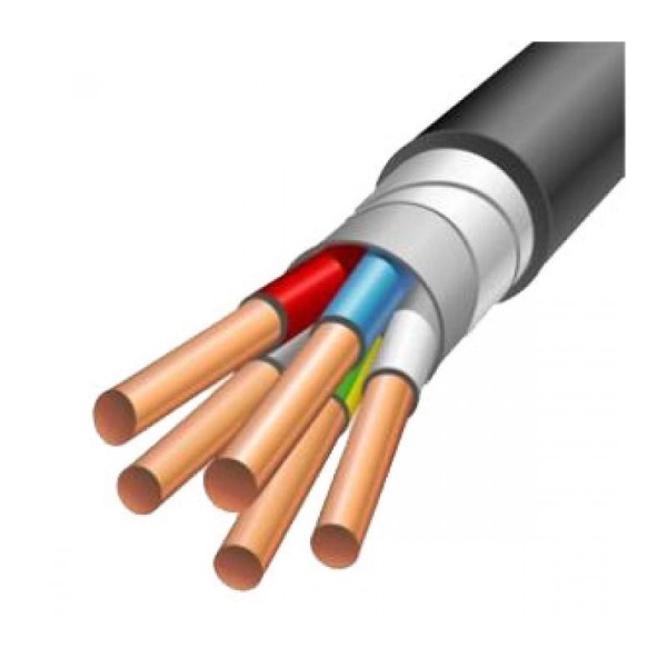 ВБШв 4х10 ок(PE)-0,66 (Камкабель)